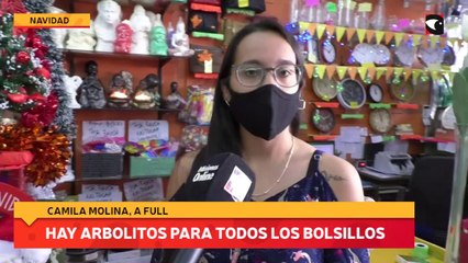 Hay arbolitos para todos los bolsillos