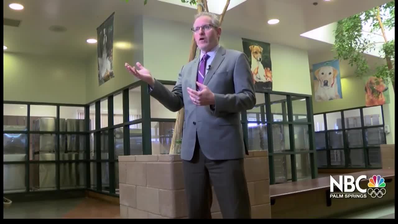 12 Months 12 Causes - Coachella Valley Animal Campus