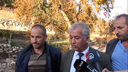 Dev lahanalar görenleri şaşırtıyor: İlk defa böyle büyük bir lahanayla karşılaştık