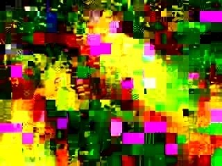 Petit herisson tout mignon