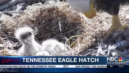 KMIR NEWS 11pm 032821