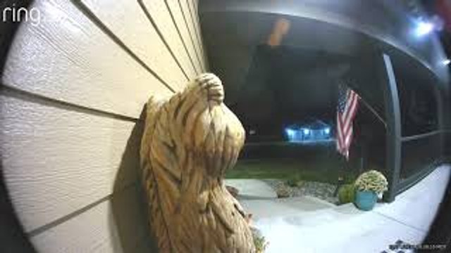 Doorbell Camera Catches Candy Thief
