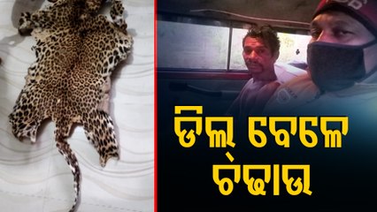 2 Arrested For Their Involvement In Leopard Skin Smuggling In Deogarh