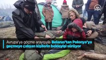 Avrupa'ya göçme arayışıyla Belarus’tan Polonya’ya geçmeye çalışan kişilerin bekleyişi sürüyor