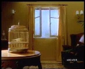 Fenêtre à belle mère