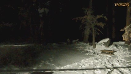 KMIR NEWS 9pm 031421