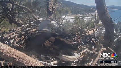 KMIR NEWS 11am 031721