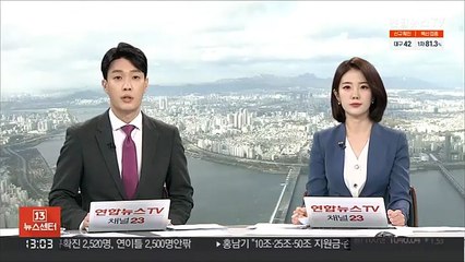 요소수 2만7천ℓ 실은 수송기 호주 출발…오후 도착
