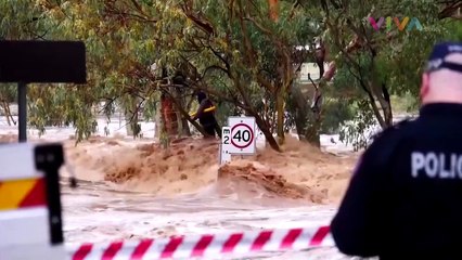 Pria Menempel di Pohon Selama 6 Jam, Hindari Arus Banjir