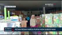 Petani Resah Harga Pupuk Non Subsidi Naik