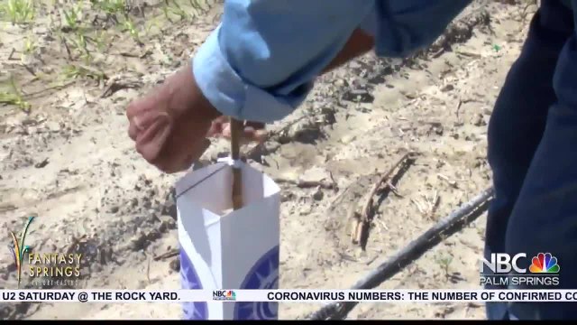 Farm workers eligible for paid sick leave regardless of immigration status