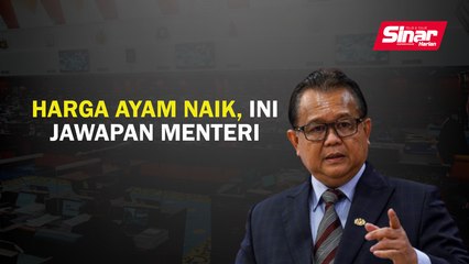 Harga ayam naik, ini jawapan menteri