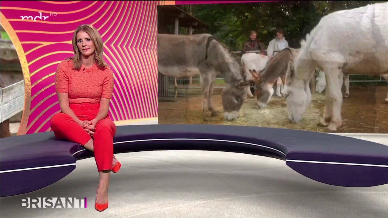 Mareile Höppner  10.11.2021