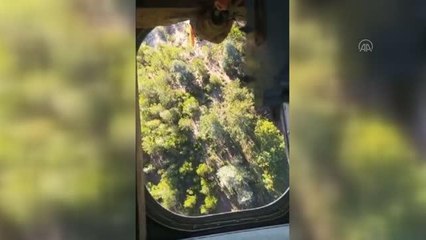 Son dakika haberleri! Çıkan orman yangını kontrol altına alındı