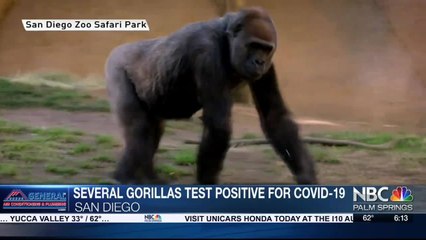 KMIR NEWS 6pm_A 011121