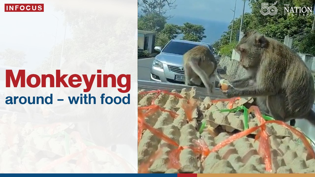 Monkeying around – with food | The Nation Thailand