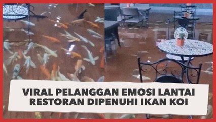 Viral Pelanggan Emosi Lantai Restoran Dipenuhi Ikan Koi: Stop Eksploitasi Hewan!