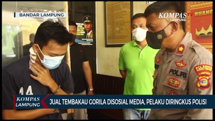 Jual Tembakau Gorila di Media Sosial, Pelaku Diringkus Polisi