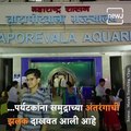 Travel Diary: Taraporewala, One Of The Oldest Aquarium In India