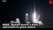 NASA, SpaceX launch 4 more astronauts to space station