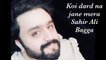 Sahir Ali Bagga - Koi Dard Na Janay Mera | Haye Rabba | Gaane Shaane