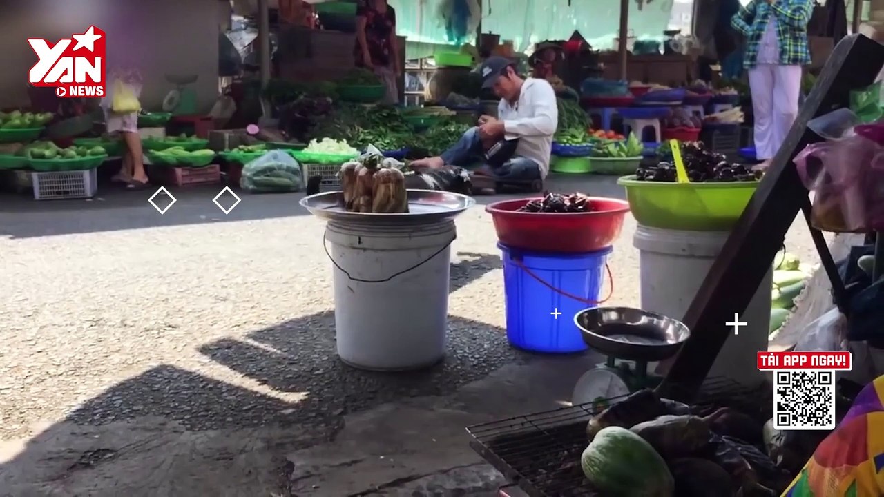 Chú chó thông minh ngày ngày đi theo người 'cha' khuyết tật, giúp ông bán vé số | Điện Ảnh Net