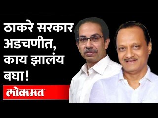 ठाकरे सरकार सिंचन घोटाळ्यावरुन अडचणीत...शासन निर्णय वादात | Anjali Damania on Thackeray Government