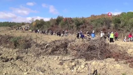 Tekirdağ'da yüzlerce öğrenci ve personelle fidan dikimi gerçekleştirildi