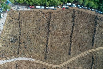 İzmir, Aydın ve Manisa'da binlerce fidan toprakla buluşturuldu