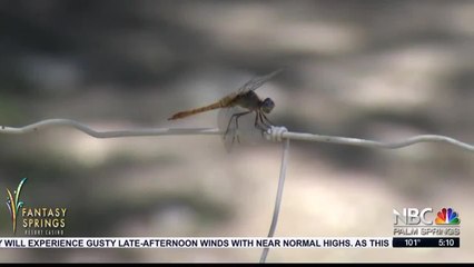Living Desert Reopens
