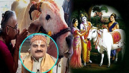 Gopashtami 2021: गोपाष्टमी का महत्व | गोपाष्टमी पूजा का महत्व | Gopashtami Mahatva | Boldsky