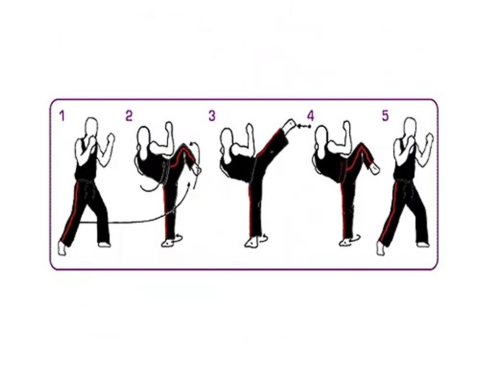 Kempo Side Kick