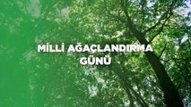 Cumhurbaşkanlığı İletişim Başkanı Altun'dan 