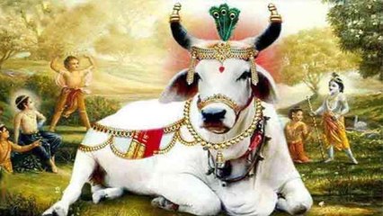 Gopashtami 2021 : गोपाष्टमी कथा | Gopashtami Katha 2021 | Boldsky