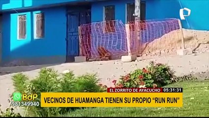 Zorro ‘Run Run’ de Ayacucho: animal silvestre anda suelto en las calles desde hace 3 años