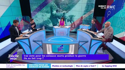 Une stèle pour les animaux morts pendant la guerre : on en fait trop ? - 11/11