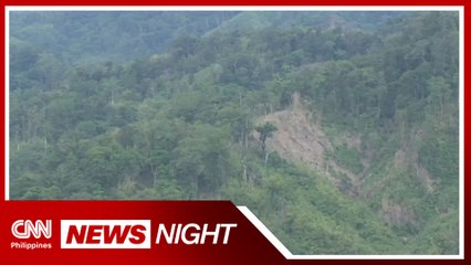 A look at PH's efforts to curb deforestation