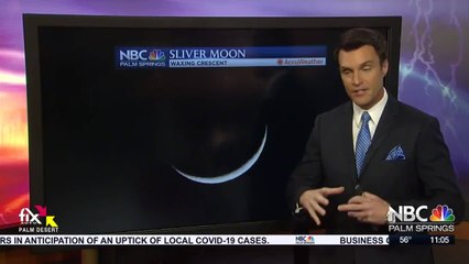 Lynne Tucker - Crescent Moon