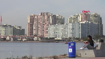 İzmir'de denizin rengi marulların temizlenmesiyle maviye döndü