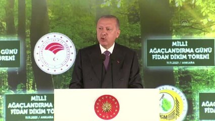 Cumhurbaşkanı Erdoğan: "Artık her yıl Kıbrıs adası büyüklüğünde bir toprağı kaybetmiyoruz"