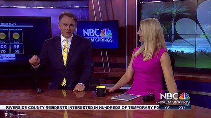 IT'S NATIONAL GUACAMOLE DAY: Rock out with your guac out!