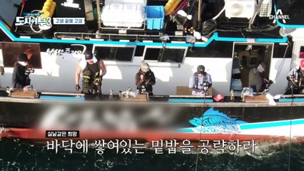 밑밥이 없는 골든타임...? 이번 고성도 망했다@_@ 대책없는 골든타임