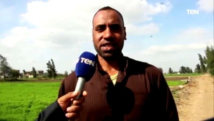 كاميرا TeN ترصد فرحة مزارعي الغربية بزيادة سعر توريد اردب القمح