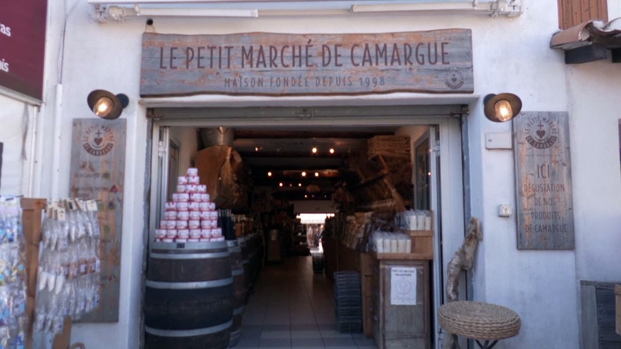 Changement climatique : la Camargue menacée par la montée des eaux