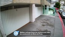 Mulher esfrega fezes de cachorro em vidro de condomínio da Mata da Praia