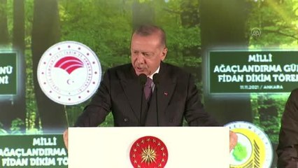 Cumhurbaşkanı Erdoğan: "Yeşil Muğla'yı süratle ihya etmiş olalım"