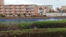 La pintura azul de un carril bici de La Manga acaba convirtiéndose en un vertido en el Mar Menor.