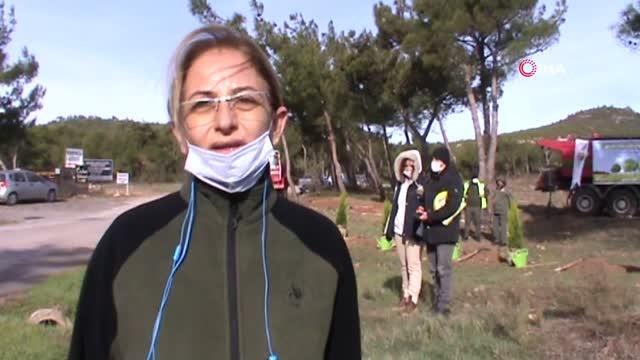 Ayvalık'ta 11 Kasım Milli Ağaçlandırma Günü kapsamında 500 fidan toprakla buluştu