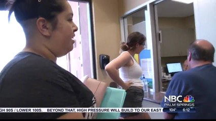 Day After The Fourth of July Brings Sad and Happy Tales to Local Shelter