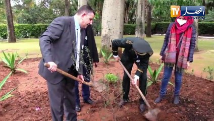 النشرة الأمازيغية لأمسية الخميس 11-11-2021